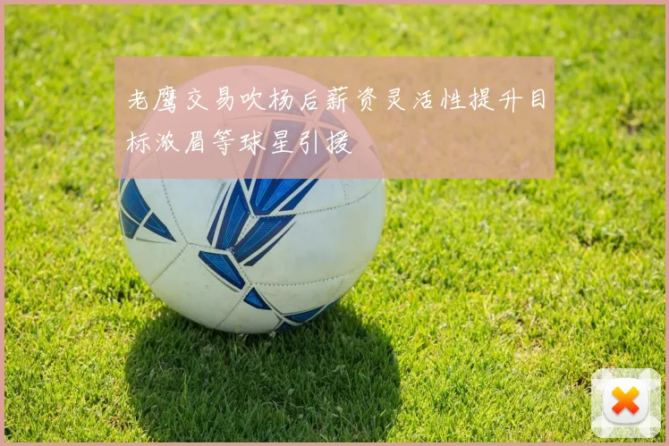 老鹰交易吹杨后薪资灵活性提升目标浓眉等球星引援