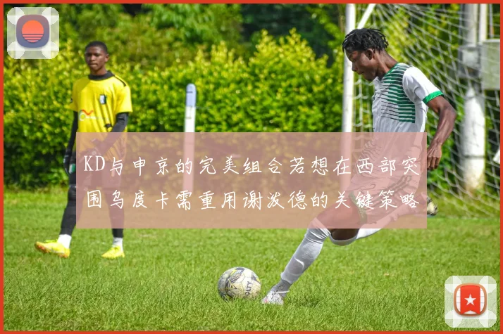 KD与申京的完美组合若想在西部突围乌度卡需重用谢泼德的关键策略