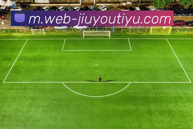 九游体育APP 封面图